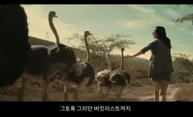 황정원이 출연한 
