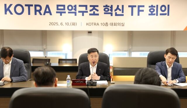 강경성 코트라 사장(가운데)이 10일 열린 '코트라 무역구조 혁신 TF 회의'에서 발언하고 있다. /코트라