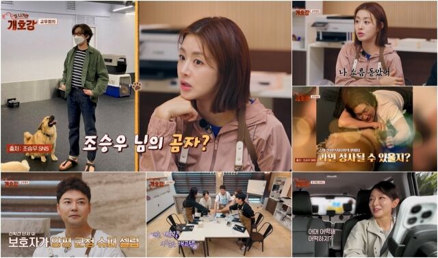 강소라 / JTBC ‘집 나가면 개호강’