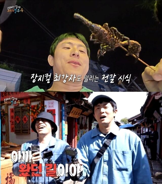 '태계일주4'/MBC