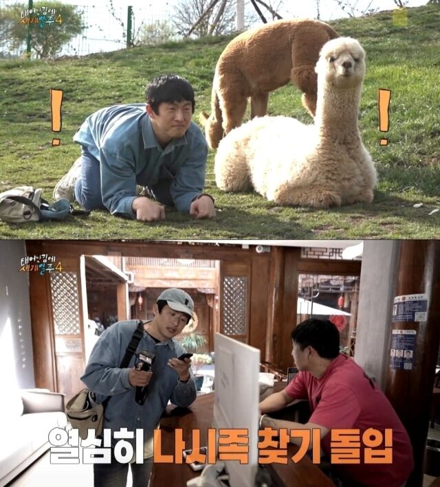 '태계일주4'/MBC