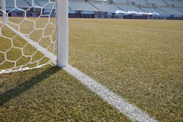 천안종합운동장 잔디./한국프로축구연맹