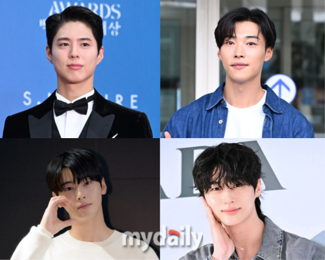 배우 박보검(왼쪽 위부터 시계방향으로), 우도환, 변우석, 차은우. 마이데일리 DB