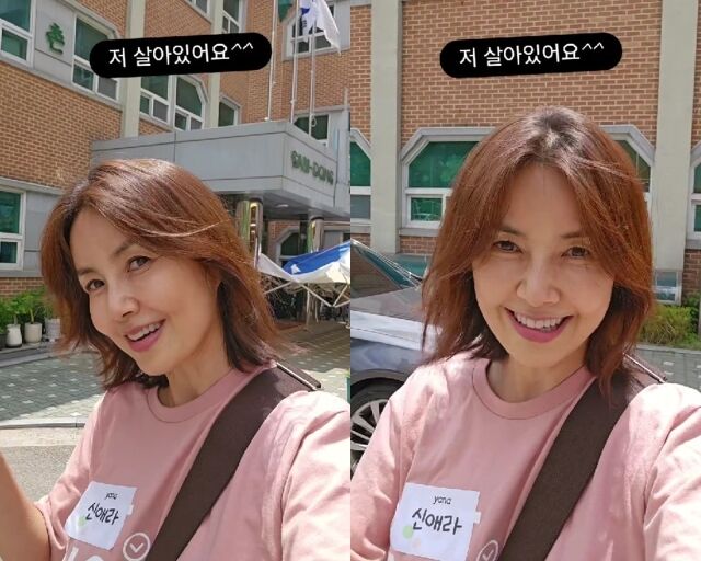 배우 신애라/신애라 소셜미디어