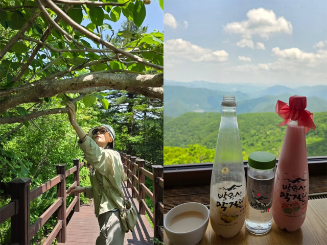 이영애가 강원도에서 휴가를 보내는 중이다./이영애 인스타그램