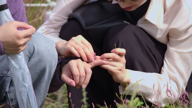 넷플릭스 '모태솔로지만 연애는 하고 싶어'