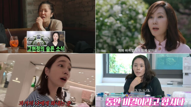 배우 고현정, 김남주, 한가인, 이민정 (왼쪽 위부터 시계방향 순) / 고현정, 김남주, 한가인, 이민정 개인 유튜브 채널