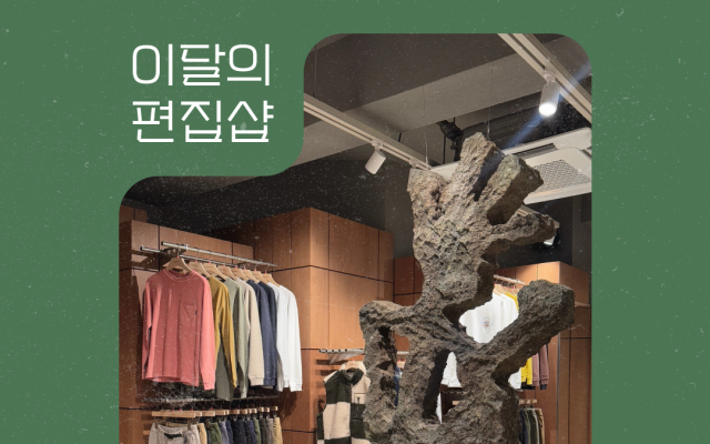 네이버가 네이버플러스 스토어의 컨템포러리 패션 브랜드 거래액이 전년 대비 2배 이상 증가했다. /네이버