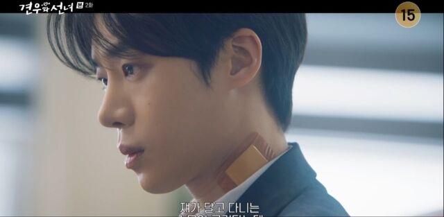 추영우 '견우와 선녀' / tvN