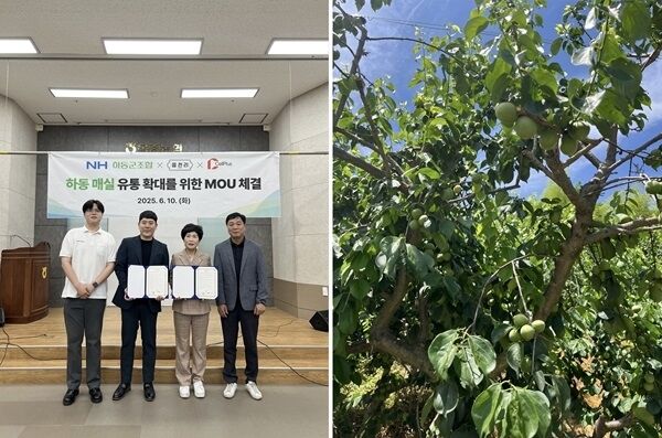 / 읍천리382