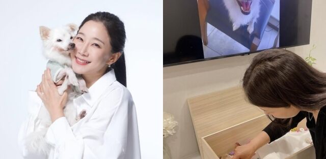 김하영 소셜미디어