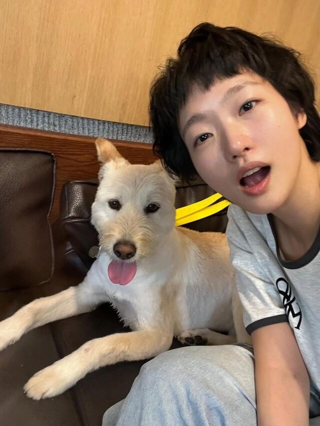 배우 김고은이 반려견과 함께하는 일상을 공개했다. / 김고은 인스타그램 캡처