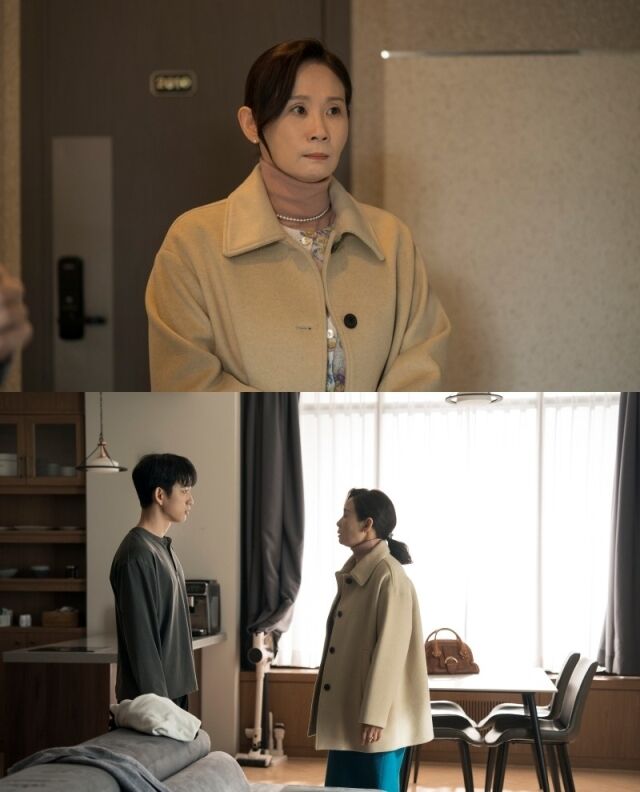 '미지의 서울'/tvN