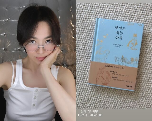 배우 송혜교, 송혜교가 게재한 사진/송혜교 인스타그램