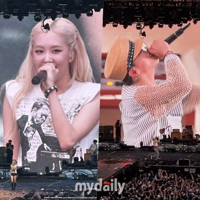 로제, 지드래곤 / 마이데일리