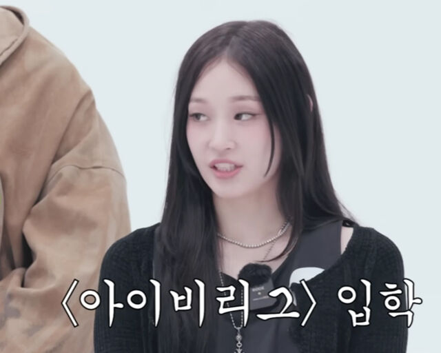 애니가 가수가 되는데 허락 받기 위해 아이비리그에 입학했다고 밝혔다. / 유튜브 '집대성' 캡처