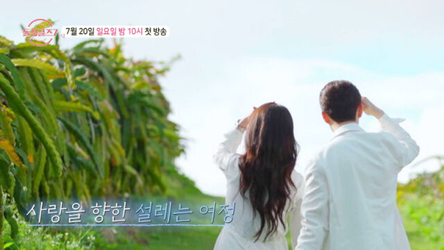 MBN '돌싱글즈7'