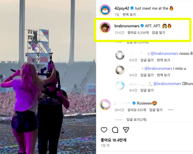 로제가 'APT를 부르는 영상을 싸이가 SNS에 올리자 브루노 마스가 댓글을 달았다. / 싸이 소셜미디어 캡처 