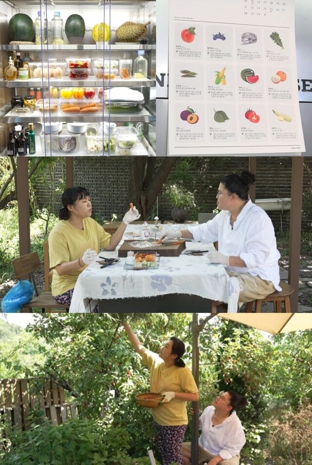 MBC '전지적 참견 시점'/MBC '전지적 참견 시점'