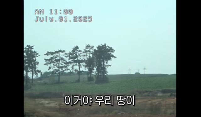 배우 선우용여/유튜브 채널 '순풍 선우용여'
