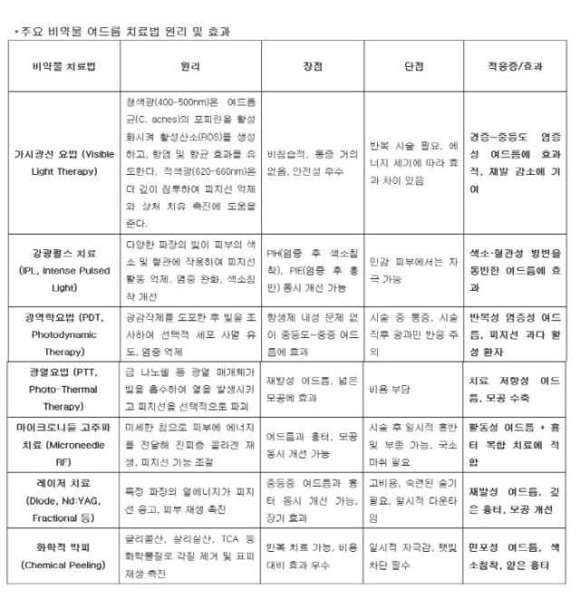 주요 비약물 여드름 치료법 원리 및 효과. /중앙대학교