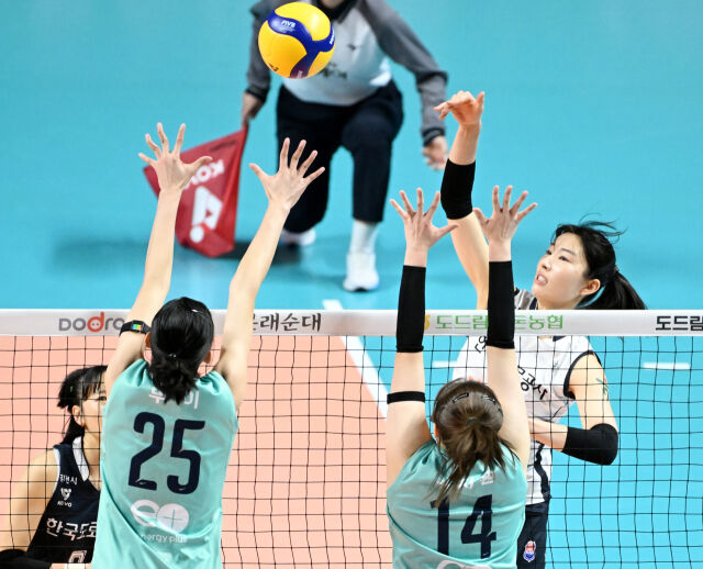한국도로공사 전새얀./KOVO