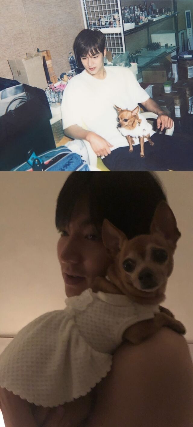 배우 이민호가 반려견 초코를 떠나보냈다. / 이민호 인스타그램