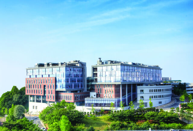 고려대학교 의과대학 전경. /고려대의료원