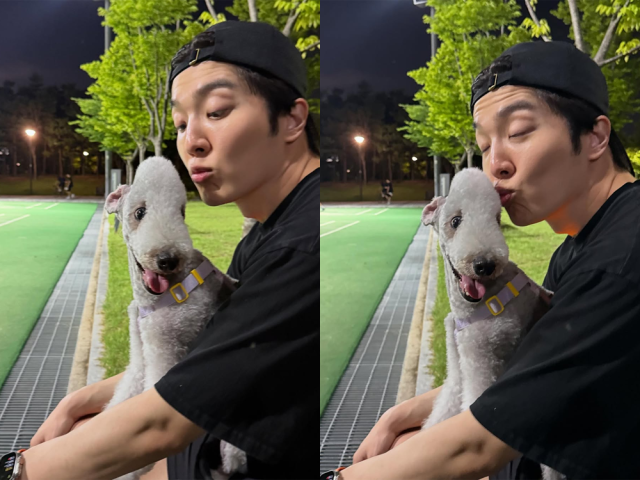 적재 사진./적재 인스타그램