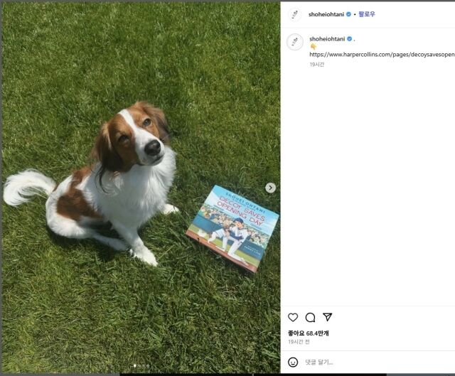 데코이/오타니 인스타그램 캡쳐