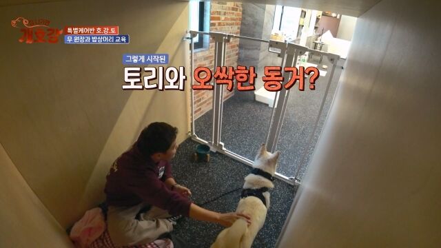 / JTBC ‘집 나가면 개호강’