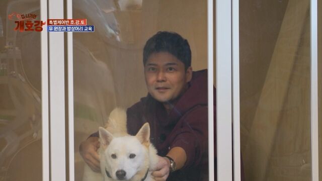 / JTBC ‘집 나가면 개호강’