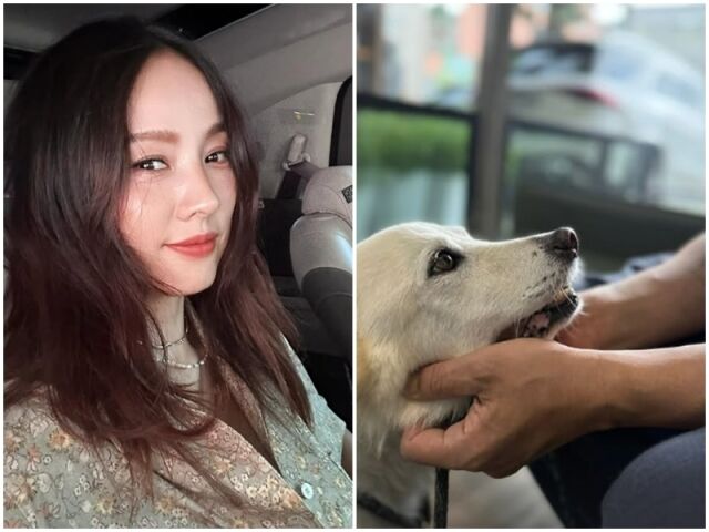 이효리./소셜미디어