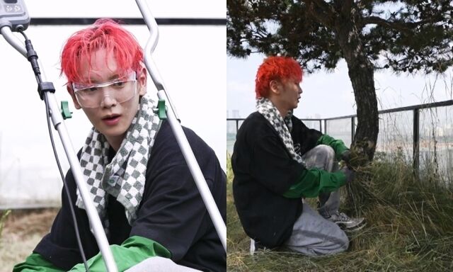 샤이니 멤버 키 예초 작업 / MBC '나혼산'