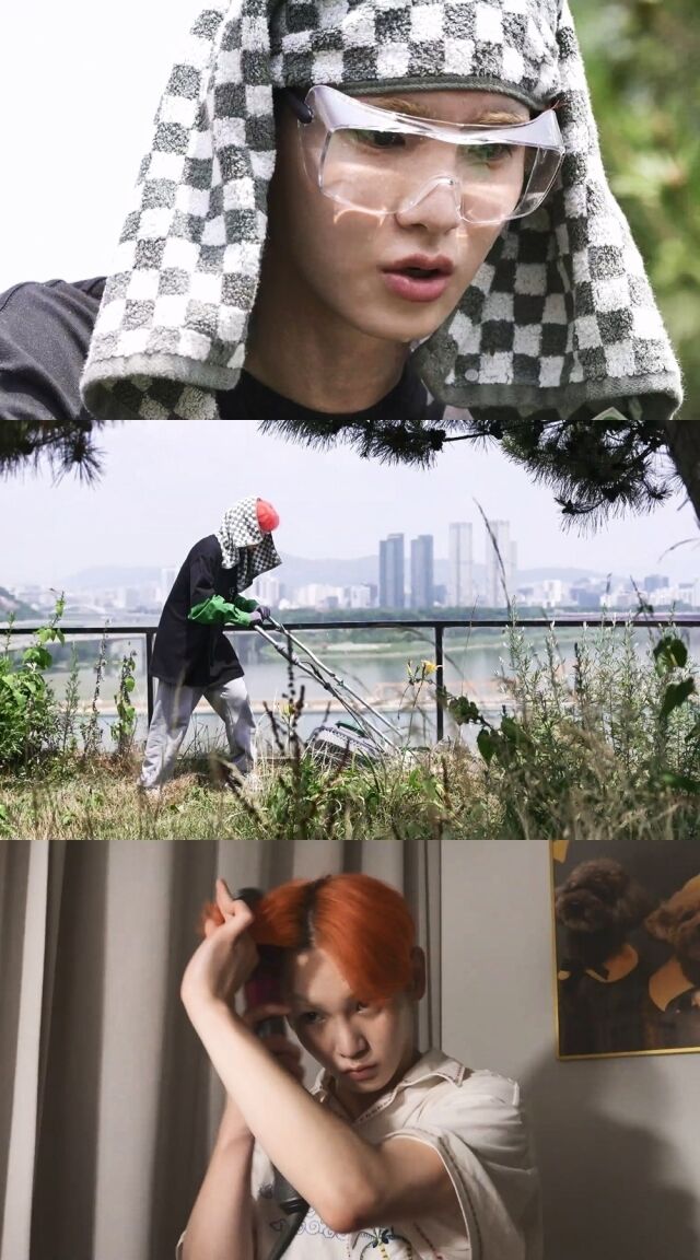 그룹 샤이니 키 예초 작업 / MBC '나혼산'