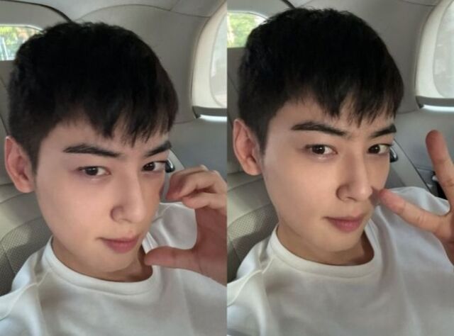 차은우./ 온라인 커뮤니티