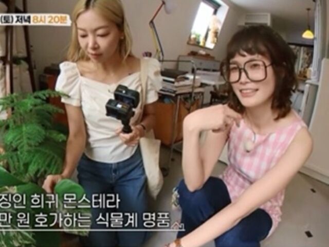 MBN '가보자고'