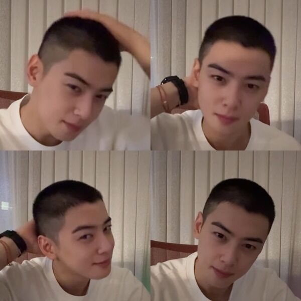 차은우