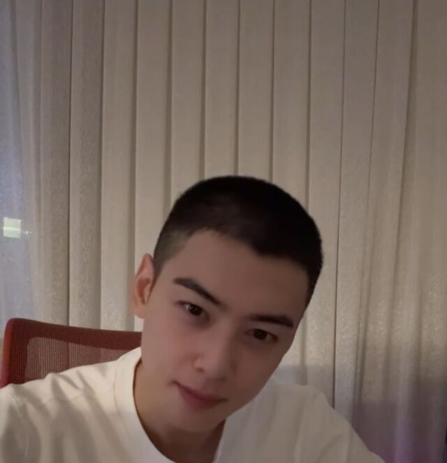 차은우
