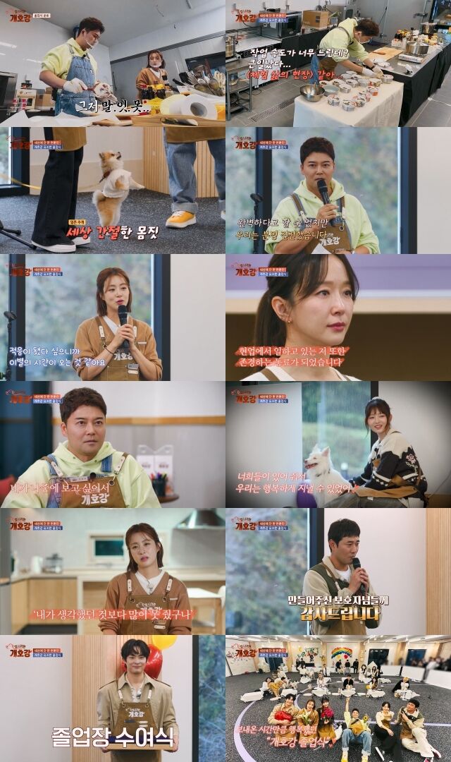 JTBC '집 나가면 개호강'/JTBC '집 나가면 개호강'