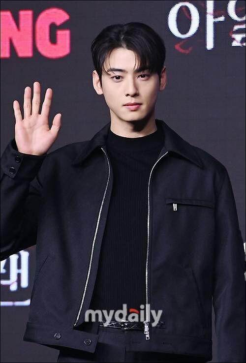 차은우 / 마이데일리