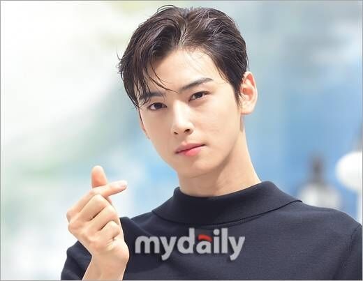 차은우 / 마이데일리