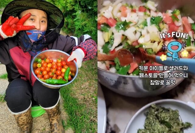 마야 소셜미디어