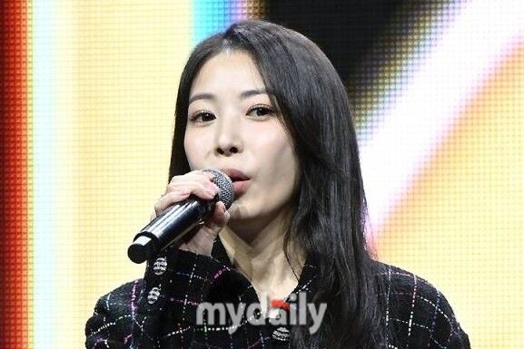 보아 / 마이데일리