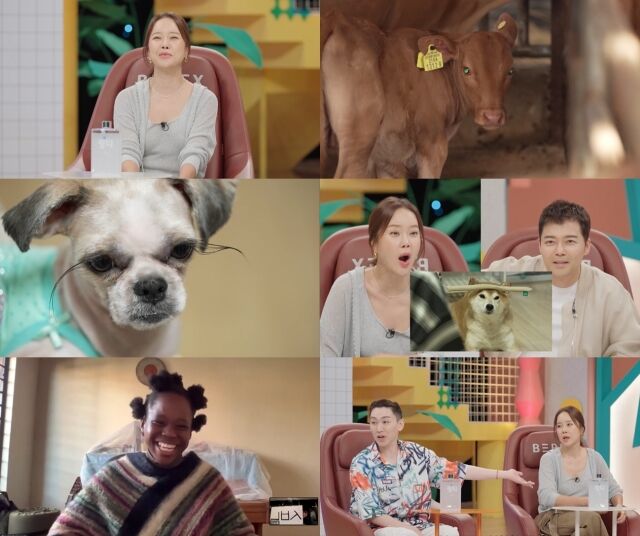 SBS '와! 진짜? 세상에 이런일이'/SBS '와! 진짜? 세상에 이런일이'