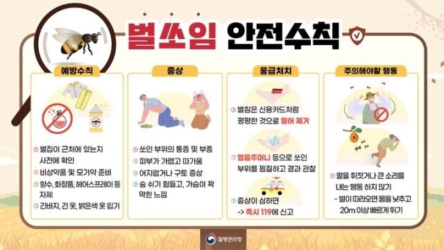 벌쏘임 안전수칙. /질병관리청