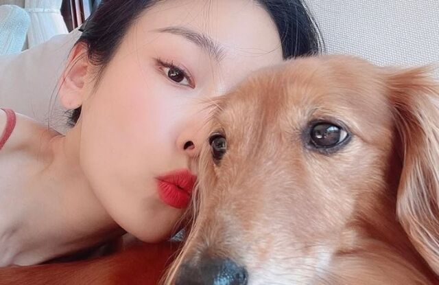 드라마 '러브미' 촬영을 끝낸 서현진과 반려견 시더./서현진 소셜미디어