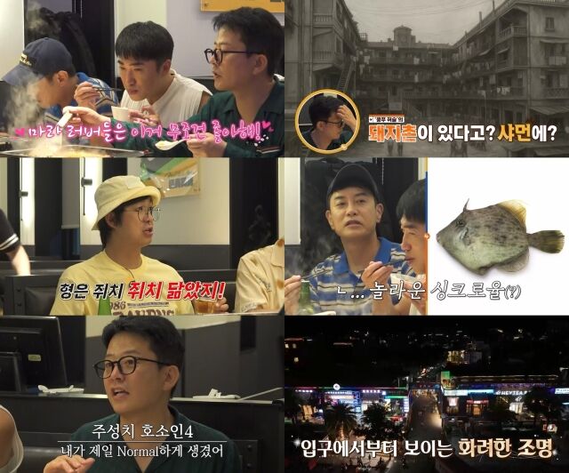 채널S '니돈내산 독박투어4'/채널S, SK브로드밴드