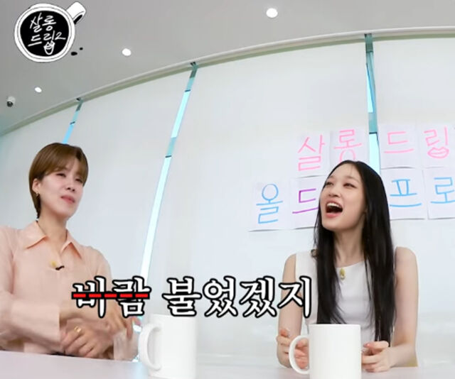 애니가 가수를 하겠다고 했을 때 부모님이 인정하지 않았다고 밝혔다. / 유튜브 '살롱드립 2' 