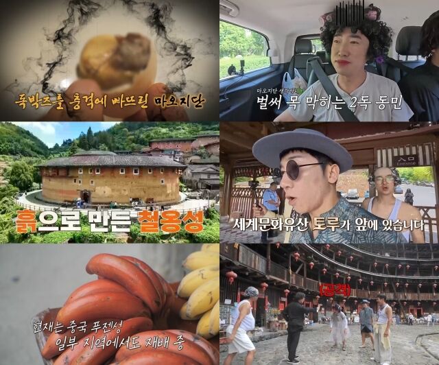 채널S, SK브로드밴드 '니돈내산 독박투어4'/채널S, SK브로드밴드